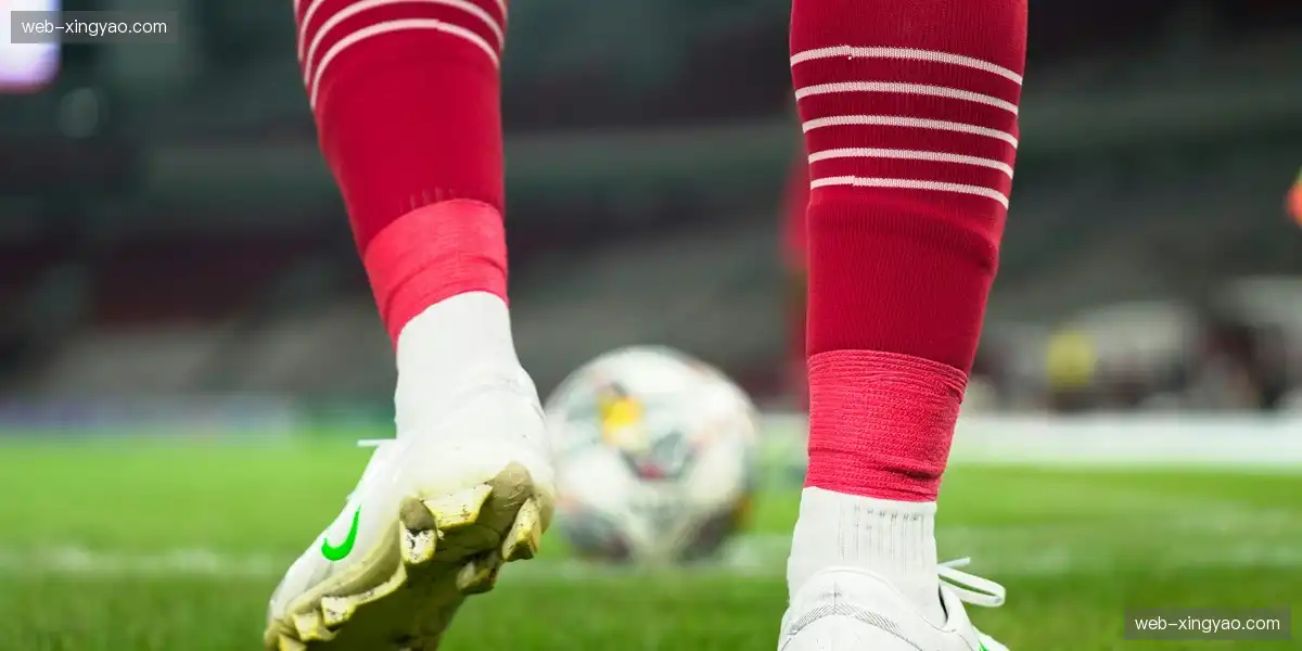 丰富转播资源 拓展品牌视野